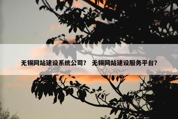 无锡网站建设系统公司？ 无锡网站建设服务平台？