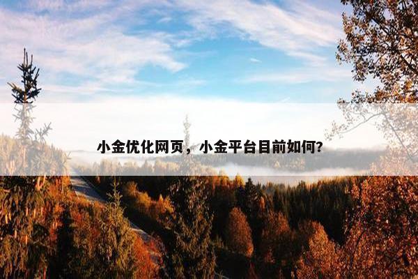 小金优化网页，小金平台目前如何?