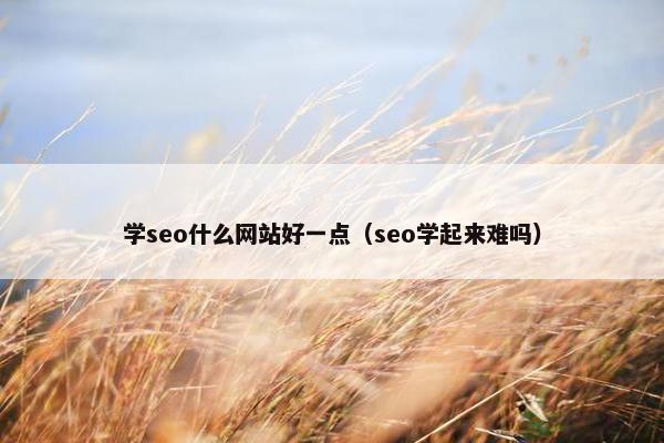 学seo什么网站好一点（seo学起来难吗）