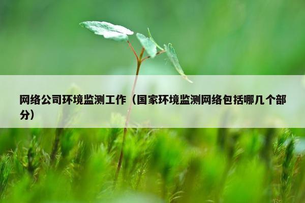 网络公司环境监测工作（国家环境监测网络包括哪几个部分）
