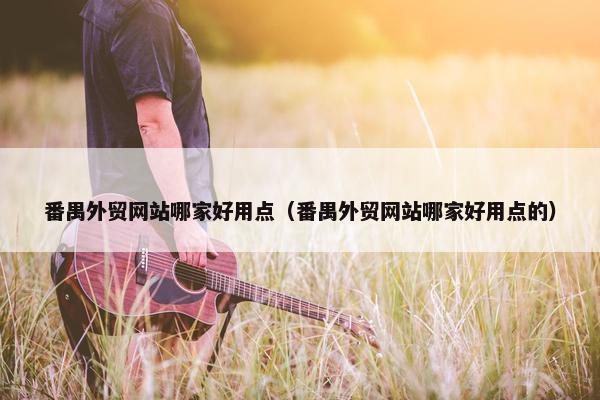 番禺外贸网站哪家好用点（番禺外贸网站哪家好用点的）