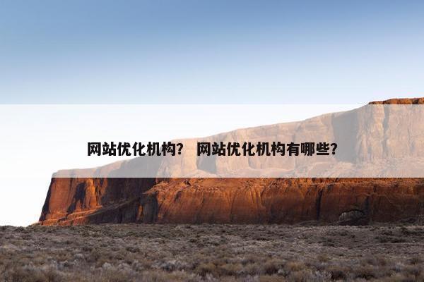 网站优化机构？ 网站优化机构有哪些？