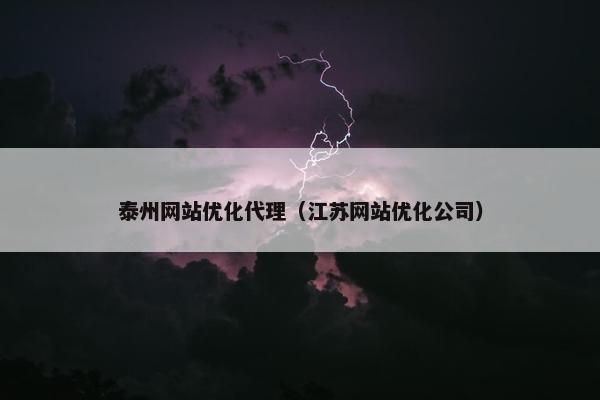 泰州网站优化代理（江苏网站优化公司）