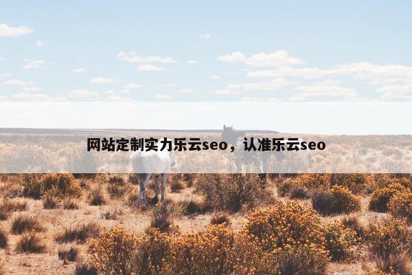 网站定制实力乐云seo，认准乐云seo