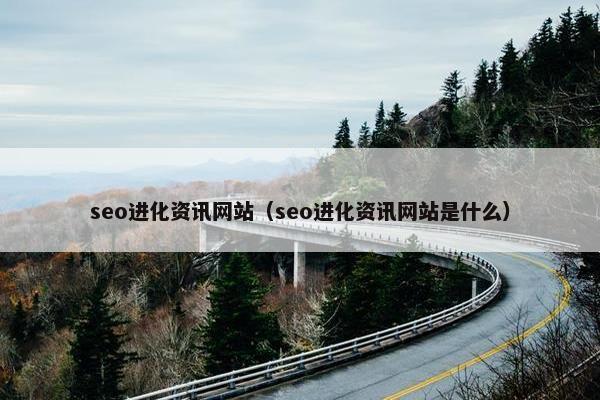 seo进化资讯网站（seo进化资讯网站是什么）