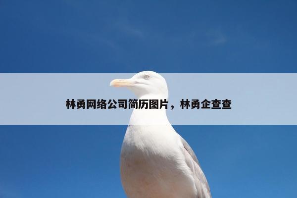 林勇网络公司简历图片，林勇企查查
