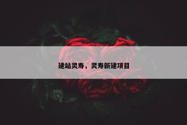 建站灵寿，灵寿新建项目