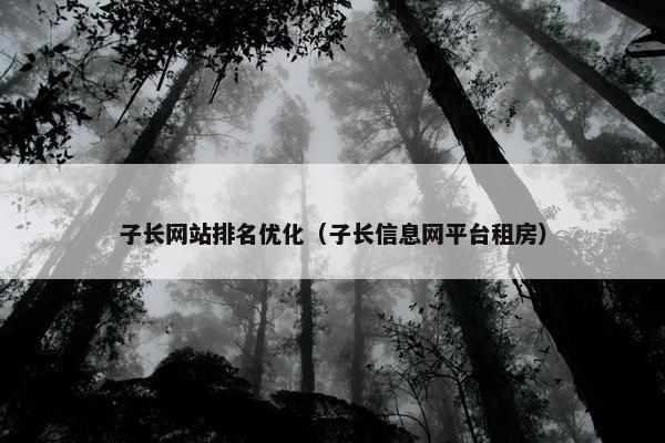 子长网站排名优化（子长信息网平台租房）