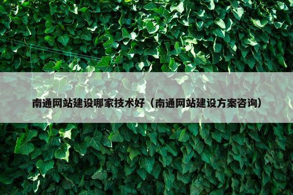 南通网站建设哪家技术好（南通网站建设方案咨询）