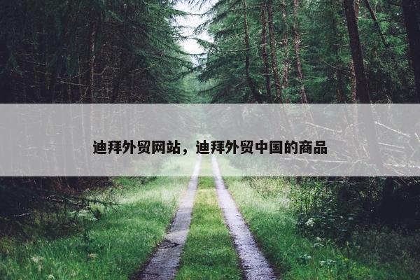 迪拜外贸网站，迪拜外贸中国的商品