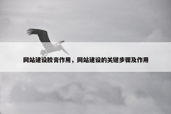 网站建设胶膏作用，网站建设的关键步骤及作用