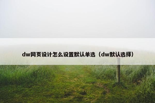 dw网页设计怎么设置默认单选（dw默认选择）
