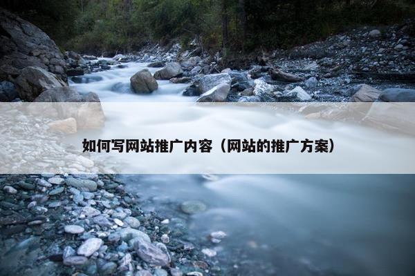 如何写网站推广内容（网站的推广方案）