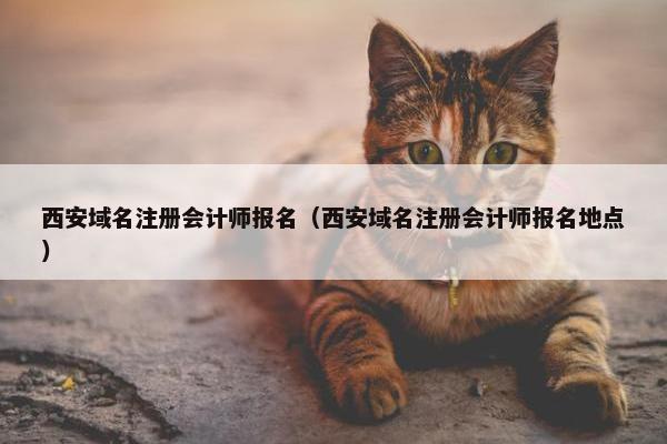 西安域名注册会计师报名（西安域名注册会计师报名地点）