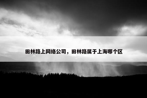 田林路上网络公司，田林路属于上海哪个区