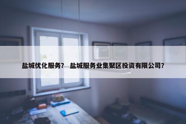 盐城优化服务？ 盐城服务业集聚区投资有限公司？