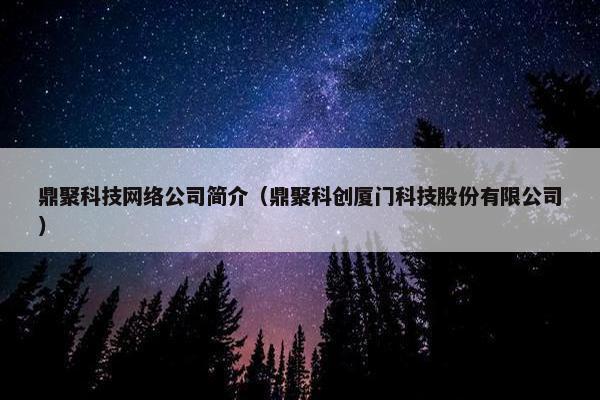 鼎聚科技网络公司简介（鼎聚科创厦门科技股份有限公司）
