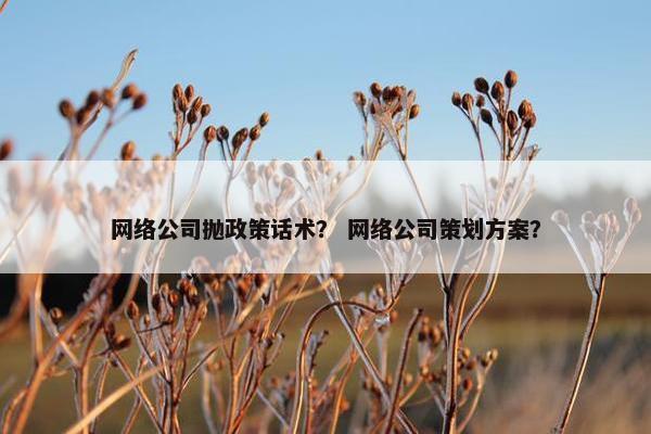 网络公司抛政策话术？ 网络公司策划方案？