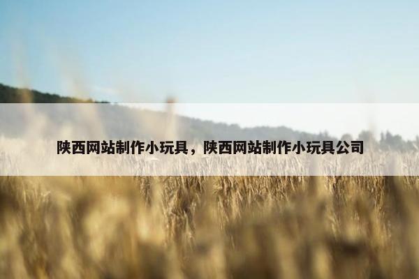 陕西网站制作小玩具，陕西网站制作小玩具公司