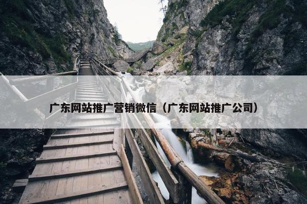 广东网站推广营销微信（广东网站推广公司）