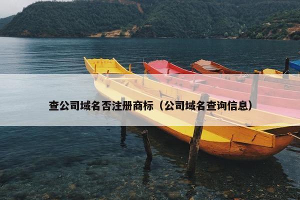 查公司域名否注册商标（公司域名查询信息）