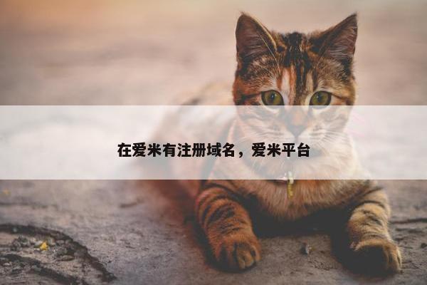 在爱米有注册域名，爱米平台