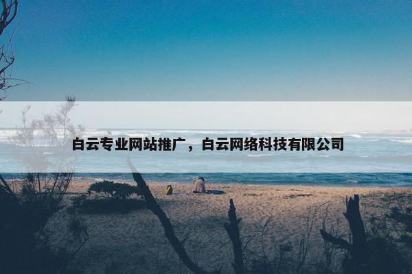 白云专业网站推广，白云网络科技有限公司