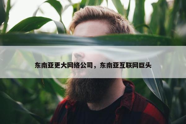 东南亚更大网络公司，东南亚互联网巨头