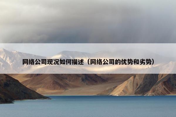 网络公司现况如何描述（网络公司的优势和劣势）