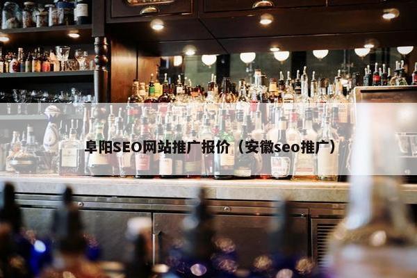 阜阳SEO网站推广报价（安徽seo推广）