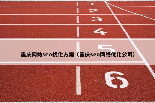 重庆网站seo优化方案（重庆seo网络优化公司）