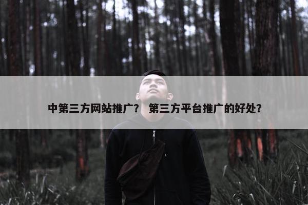 中第三方网站推广？ 第三方平台推广的好处？