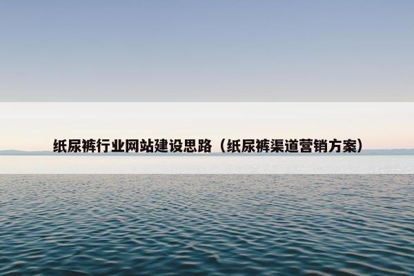 纸尿裤行业网站建设思路（纸尿裤渠道营销方案）