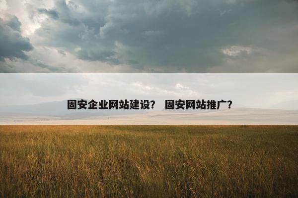 固安企业网站建设？ 固安网站推广？