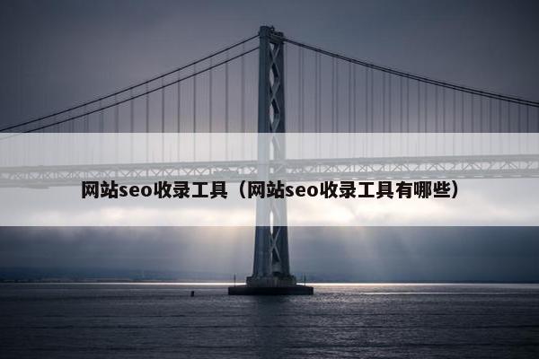 网站seo收录工具（网站seo收录工具有哪些）