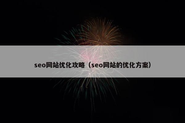 seo网站优化攻略（seo网站的优化方案）