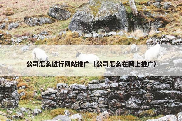 公司怎么进行网站推广（公司怎么在网上推广）