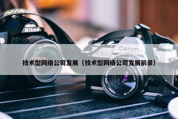技术型网络公司发展（技术型网络公司发展前景）
