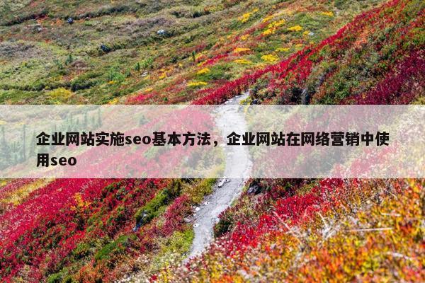 企业网站实施seo基本方法，企业网站在网络营销中使用seo