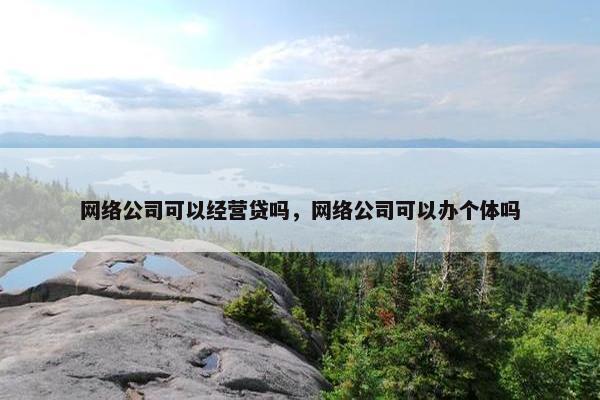 网络公司可以经营贷吗，网络公司可以办个体吗