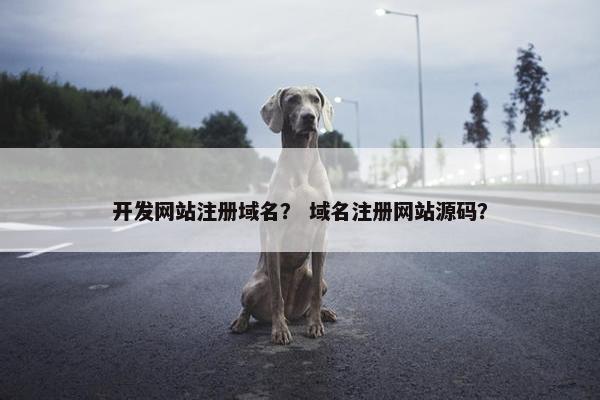 开发网站注册域名？ 域名注册网站源码？