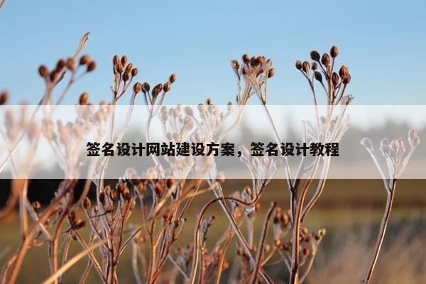 签名设计网站建设方案，签名设计教程