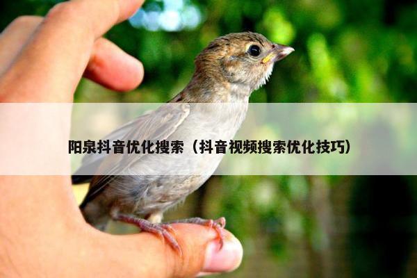 阳泉抖音优化搜索（抖音视频搜索优化技巧）