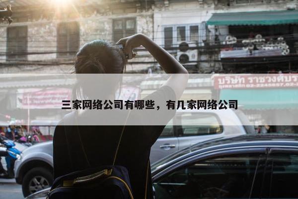 三家网络公司有哪些，有几家网络公司