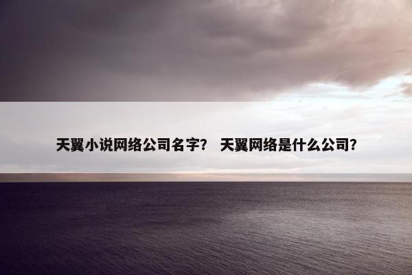 天翼小说网络公司名字？ 天翼网络是什么公司？