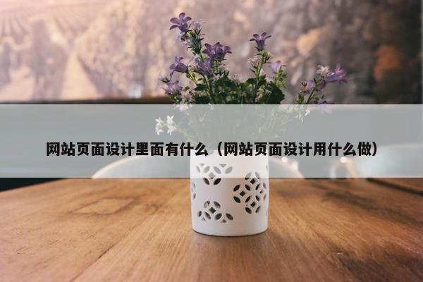 网站页面设计里面有什么（网站页面设计用什么做）