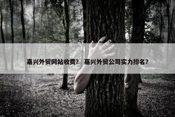 嘉兴外贸网站收费？ 嘉兴外贸公司实力排名？