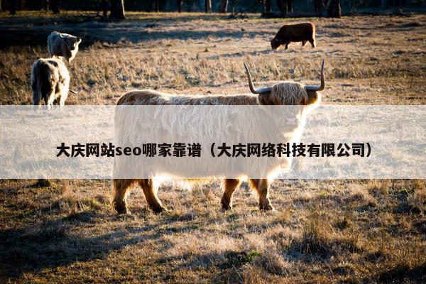 大庆网站seo哪家靠谱（大庆网络科技有限公司）