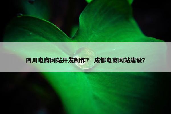 四川电商网站开发制作？ 成都电商网站建设？
