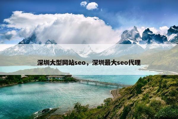 深圳大型网站seo，深圳最大seo代理